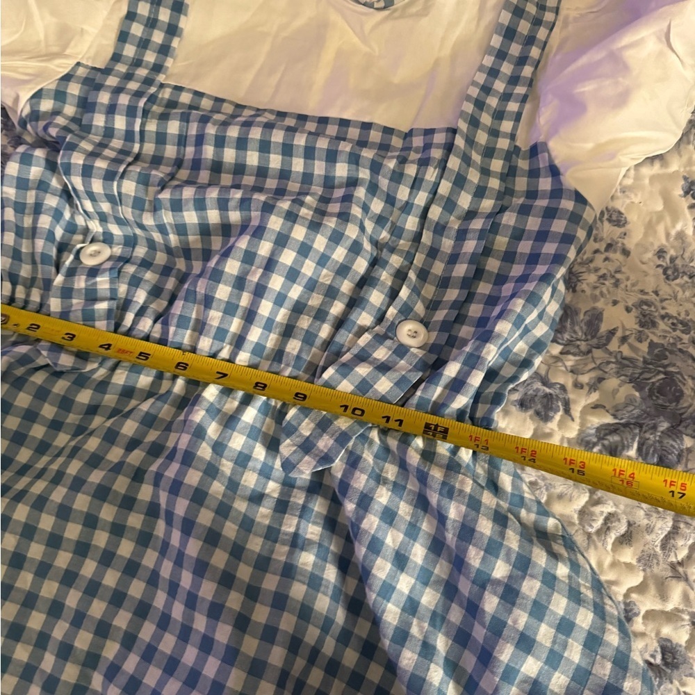 Dorothy Blue Gingham Pinafore Dress costume with wig - Picture 8 of 9